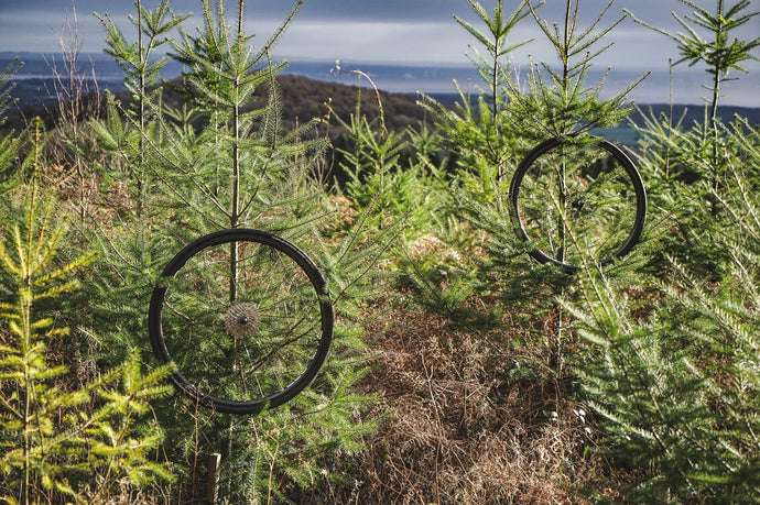 Velocity carbon wheels displayed creatively within a forest setting, highlighting eco-friendly cycling.